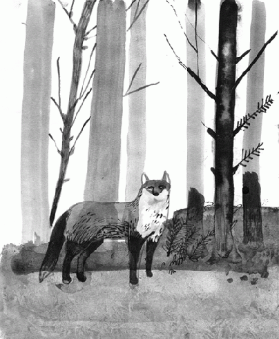 Illustration von einem Fuchs im Wald umgeben von Bäumen.