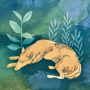 Digitale Illustration mit Wasserfarb-Effekt von einem schlafenden Hund, welcher in der Natur liegt und von Pflanzen umgeben ist..